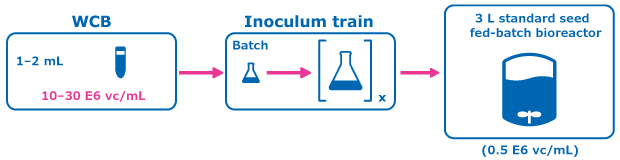 Control condition: Conventional Seed Train Figure 2 (Control condition: Conventional Seed Train) shows the experimental plan for intensified upstream case study evaluation comparing a perfused N-1 seed train utilizing a Cellicon® filter for cell retention to a conventional seed train in shake flasks prior to inoculation of a set of fed-batch bioreactors at 0.5E6 cells/mL.