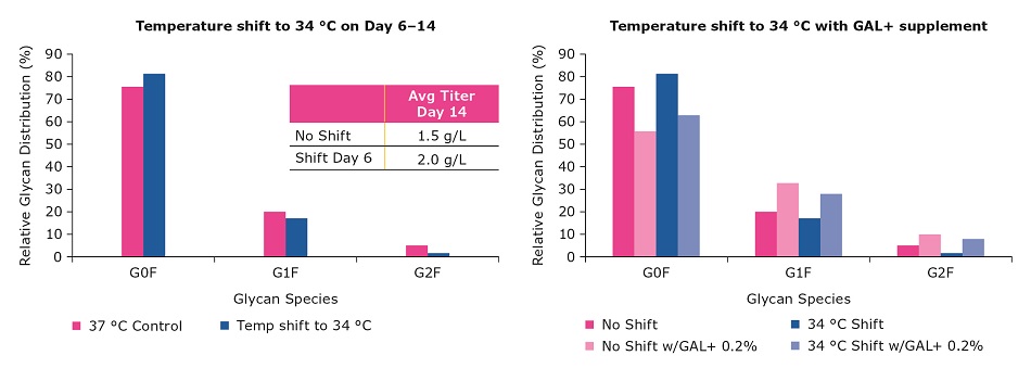 Effect of GAL+ supplementation and temperature shifts on glycan profile Effect of GAL+ supplementation and temperature shifts on glycan profile