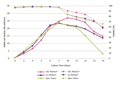 Viable cell density, viability, and glycoprofile during a 14 day fed batch culture process Viable cell density and viability during a 14 day fed batch culture process