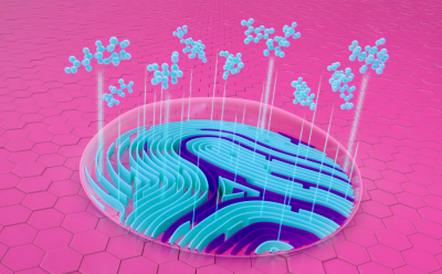 Cell Culture Media Fingerprinting