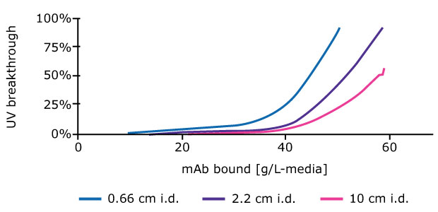 % breakthrough against mass loading for different diameter columns a graph illustrating UV breakthrough as a function of monoclonal antibody (mAb) bound in grams per liter of media. The x-axis represents the mAb bound, ranging from 0 to 60 g/L-media, while the y-axis indicates the percentage of UV breakthrough, ranging from 0% to 100%. Three curves are plotted, each representing different inner diameters (i.d.) of chromatography columns: 0.66 cm (blue), 2.2 cm (purple), and 10 cm (pink).