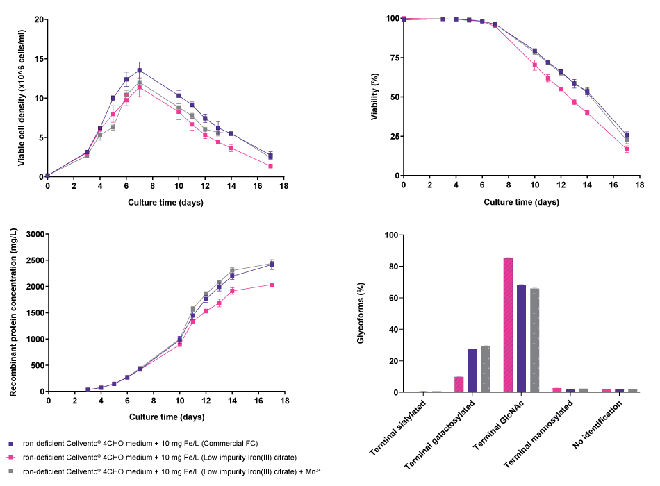 Effect of iron-containing manganese impurity on cell line performance and glycosylation profile for CHO K1 mAb1 Line graphs and bar charts showing results for viable cell density, viability, recombinant protein concentration, and glycoforms of the CHO K1 mAb1 cell line in Cellvento® 4CHO medium with an elevated iron concentration compared to iron-deficient Cellvento® 4CHO medium supplemented with Low impurity Iron(III) citrate for Cell Culture Media and the latter with adjusted manganese level. Results show that use of commercial iron sources and low-impurity iron citrate with added manganese achieves similar results while low-impurity iron citrate without manganese addition differs in viability, protein concentration, and glycoforms.