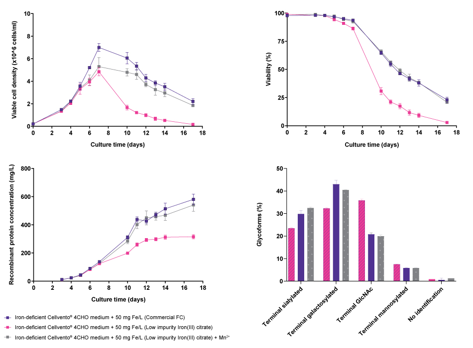 : Effect of iron-containing manganese impurity on cell line performance and glycosylation profile for CHOZN<sup>®</sup> fusion protein 1 Line graphs and bar charts showing results for viable cell density, viability, recombinant protein concentration, and glycoforms of CHOZN® fusion protein 1 cell line in Cellvento® 4CHO medium with an elevated iron concentration compared to iron-deficient Cellvento® 4CHO medium supplemented with Low impurity Iron(III) citrate for Cell Culture Media and the latter with adjusted manganese level. Results show that use of commercial iron sources and low-impurity iron citrate with added manganese achieves similar results while low-impurity iron citrate without manganese addition differs in all cases.