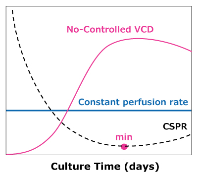Comparison of VCD and CSPR in Dynamic Perfusion In dynamic perfusion, VCD is allowed to reach a maximum level while running at a constant perfusion rate, reaching a minimum CSPR. In steady state perfusion, a minimum CSPR is not reached as cell growth is controlled through bleed, maintaining a constant VCD below the maximum.