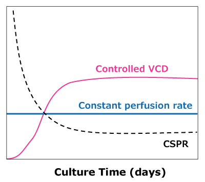 Comparison of VCD and CSPR in Steady State Perfusion In dynamic perfusion, VCD is allowed to reach a maximum level while running at a constant perfusion rate, reaching a minimum CSPR. In steady state perfusion, a minimum CSPR is not reached as cell growth is controlled through bleed, maintaining a constant VCD below the maximum.