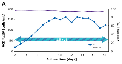 Dynamic Perfusion Comparison VCD In dynamic perfusion, a high viable cell density (VCD) of 150 × 10^6 cells/mL at 1.5 VVD was achieved, and both volumetric (VP) and cell specific (qP) productivities were increased over time. In steady state perfusion, target VCD of 50 × 10^6 cells/mL was maintained at 1.5 and 1.0 VVD, and both VP and qP remained stable.