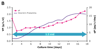 Dynamic Perfusion Comparison VP qP In dynamic perfusion, a high viable cell density (VCD) of 150 × 10^6 cells/mL at 1.5 VVD was achieved, and both volumetric (VP) and cell specific (qP) productivities were increased over time. In steady state perfusion, target VCD of 50 × 10^6 cells/mL was maintained at 1.5 and 1.0 VVD, and both VP and qP remained stable.
