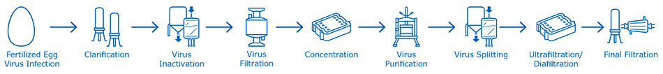 Cell culture-based flu vaccine manufacturing process Egg-based influenza vaccine manufacturing process
