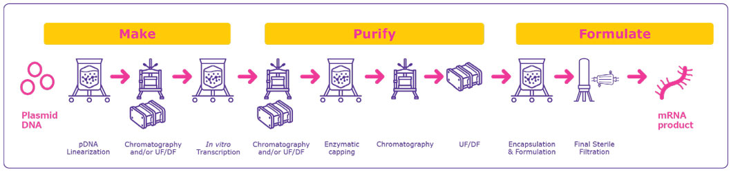 General process overview for mRNA manufacturing 显示制造 mRNA 药物产品所需的不同加工步骤的工艺流程:pDNA 线性化、纯化、体外转录、酶封盖、封装和制剂、无菌过滤等。