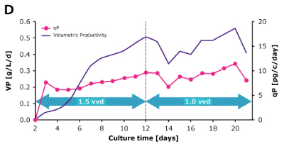 Steady State Perfusion Comparison VP qP In dynamic perfusion, a high viable cell density (VCD) of 150 × 10^6 cells/mL at 1.5 VVD was achieved, and both volumetric (VP) and cell specific (qP) productivities were increased over time. In steady state perfusion, target VCD of 50 × 10^6 cells/mL was maintained at 1.5 and 1.0 VVD, and both VP and qP remained stable.