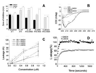 Activities of C3a-derived human (LGE33) and C. rotundicauda (LKE31) peptides Activities of C3a-derived human (LGE33) and C. rotundicauda (LKE31) peptides