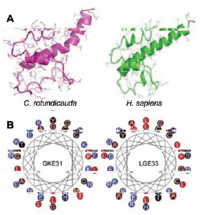 Molecular models Molecular models