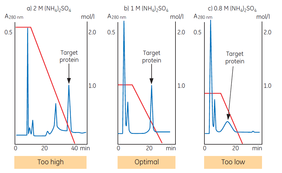 Salt concentration Salt concentration