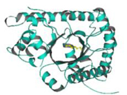 ISOGRO® Protein ISOGRO® Protein