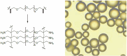 Aminomethyl-ChemMatrix树脂的支架完全由化学稳定的聚醚键构成(左)。ChemMatrix珠子的显微图像(右)。 Aminomethyl-ChemMatrix树脂的支架完全由化学稳定的聚醚键构成(左)。ChemMatrix珠子的显微图像(右)。