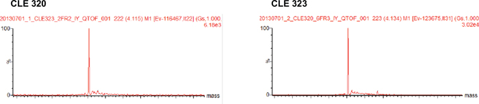 Deconvoluted MS spectra of Code H LC. Deconvoluted MS spectra of Code H LC.