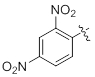 Dinitrophenyl Dinitrophenyl