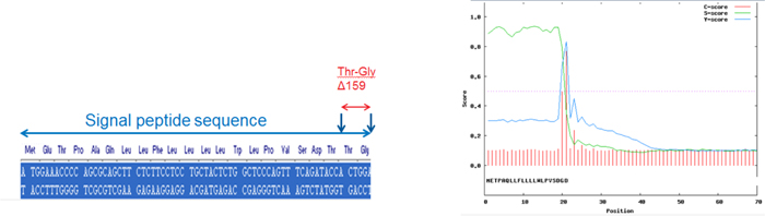 Engineering of Signal Peptide for Correct Processing Engineering of Signal Peptide for Correct Processing