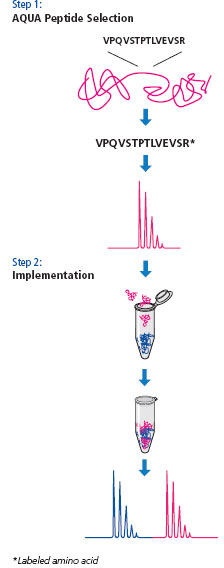 Overview of the Protein-AQUA™ Method Overview of the Protein-AQUA™ Method