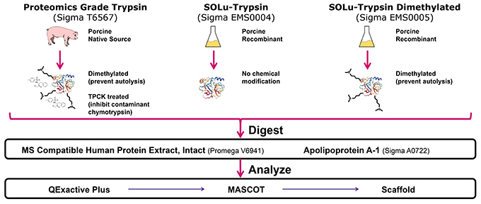Materials and Methods of Evaluation of Recombinant, Chemically Treated Trypsin in Proteomics and Protein Characterization Assays Materials and Methods