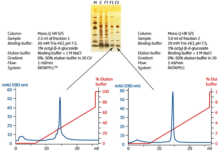 Charge homogeneity characterization Charge homogeneity characterization