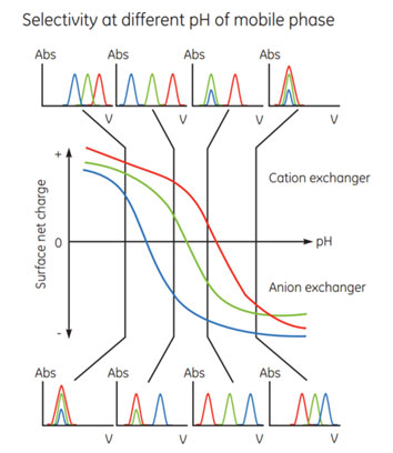 Effect of pH on protein elution patterns. Effect of pH on protein elution patterns.