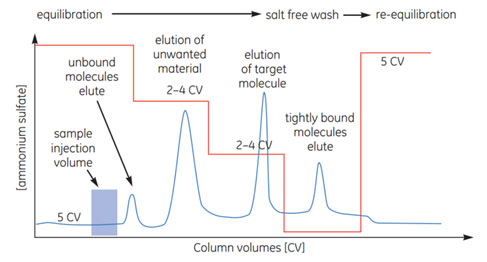 HIC step elution HIC step elution