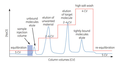 IEX step elution IEX step elution