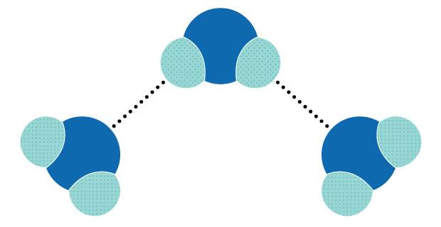 Hydrogen bonding between water molecules Diagram showing the concept of hydrogen bonding between three water molecules. Hydrogen bonds are represented by dotted lines between hydrogen and oxygen atoms