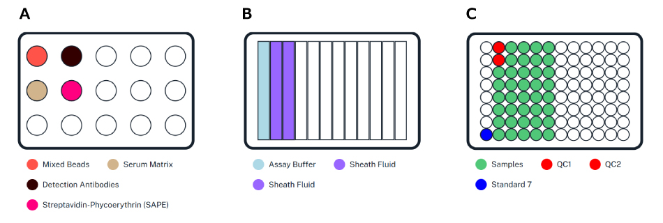 Reagent Placement for Same-Day MILLIPLEX® Human Panel A Automated Protocol Placement of reagents when running MILLIPLEX® Human Panel A immunoassay on the AAW™ workstation – Same-Day Protocol. Shows tube rack setup with mixed beads, serum matrix, detection antibodies and SAPE, 12-well reservoir plate setup with assay buffer and sheath fluid, and plate setup with samples, QCs, and standard.