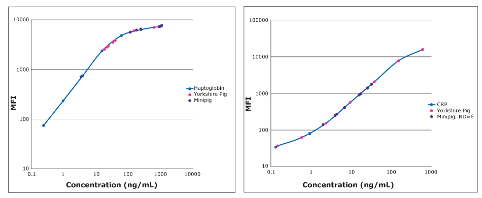 Standard Curves For APP Markers In Porcine Samples Standard curves for acute phase protein (APP) markers in porcine samples using MILLIPLEX® Porcine Acute Phase Protein Panel. Graphs show concentration in ng/mL on the x-axis and MFI on the y-axis. Haptoglobin graph shows a curve with a straight line going diagonally up and then slightly curving at the top while the CRP graph shows more of a traditional S-curve with curves at the bottom and top of the line.