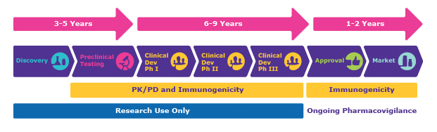Drug Development Research Timeline A timeline of a typical drug development research program. PK/PD and immunogenicity testing are important from preclinical testing to Phase III, and immunogenicity testing and ongoing pharmacovigilance occur after approval.