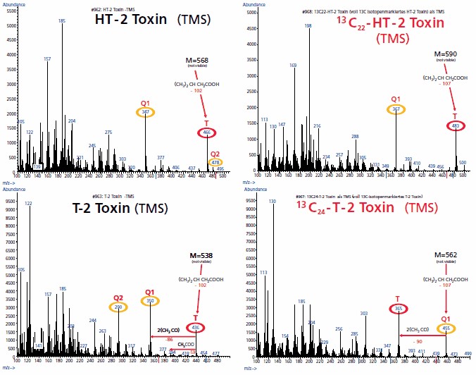EI-Mass spectra of the TMS-derivatives of unlabelled and fully 13C isotope-labelled T-2 Toxin and HT-2 Toxin EI-Mass spectra of the TMS-derivatives of unlabelled and fully 13C isotope-labelled T-2 Toxin and HT-2 Toxin