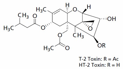 Molecular structure of the Trichothecenes T-2 Toxin and HT-2 Toxin Molecular structure of the Trichothecenes T-2 Toxin and HT-2 Toxin