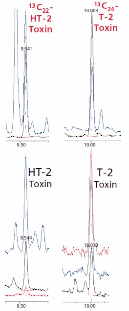 SIM chromatograms of a barley sample contaminated at very low levels. SIM chromatograms of a barley sample contaminated at very low levels.