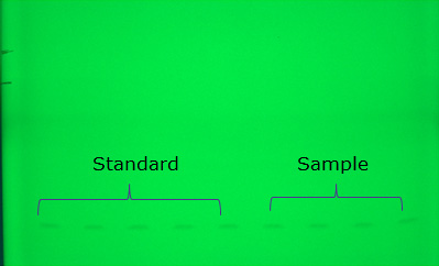 TLC plate development TLC plate development