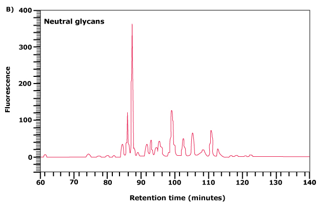 Separation of neutral and acidic glycans of fetuin by weak anion-exchange chromatography 3b Separation of neutral and acidic glycans of fetuin by weak anion-exchange chromatography