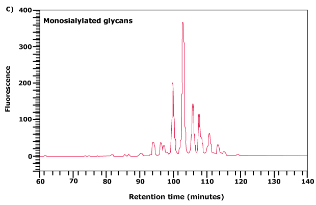 Separation of neutral and acidic glycans of fetuin by weak anion-exchange chromatography 3c Separation of neutral and acidic glycans of fetuin by weak anion-exchange chromatography