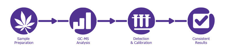Workflow for the analysis of terpenes in Hemp and Cannabis Workflow for the analysis of terpenes in Hemp and Cannabis