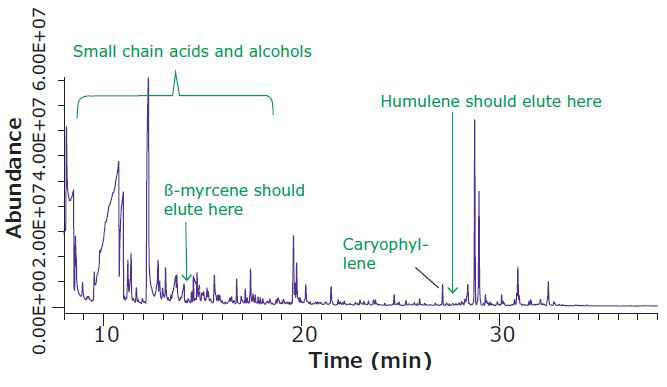 Headspace SPME-GC/MS Analysis of Dried Hops Flowers, Increased Sample Equilibration Temperature Headspace SPME-GC/MS Analysis of Dried Hops Flowers, Increased Sample Equilibration Temperature