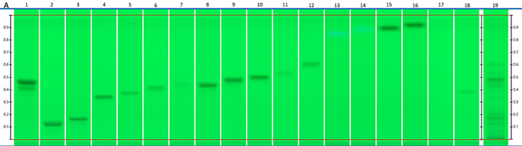 Chromatograms under UV Chromatograms under UV