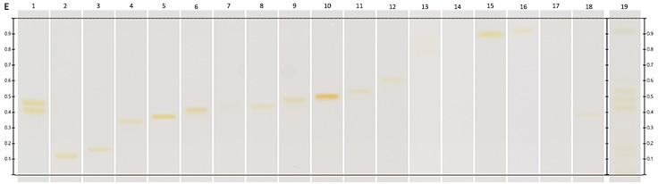 Chromatograms under UV Chromatograms under UV
