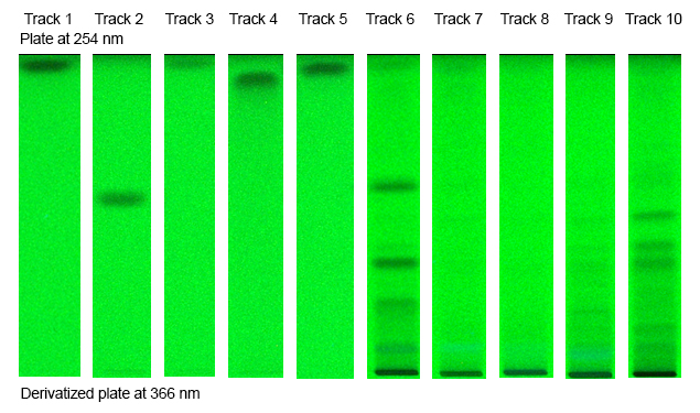 Plate at 254 nm Plate at 254 nm