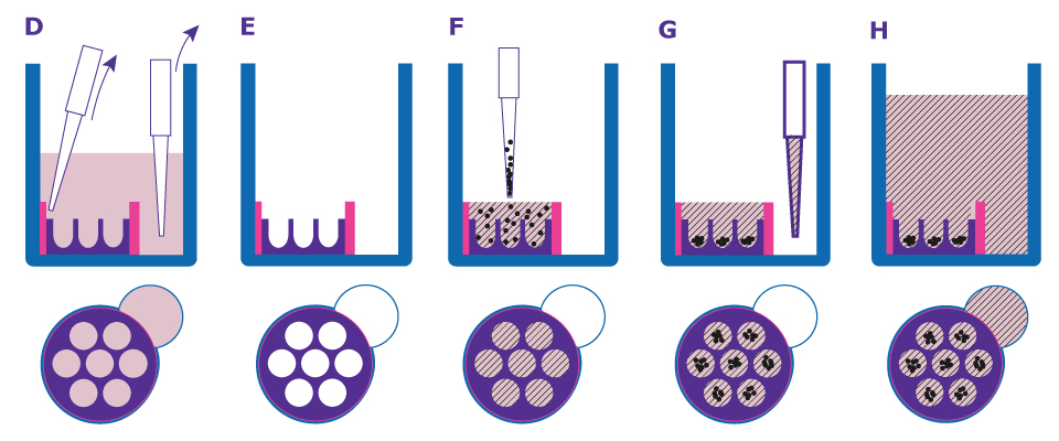 Figure 2 need combined file
