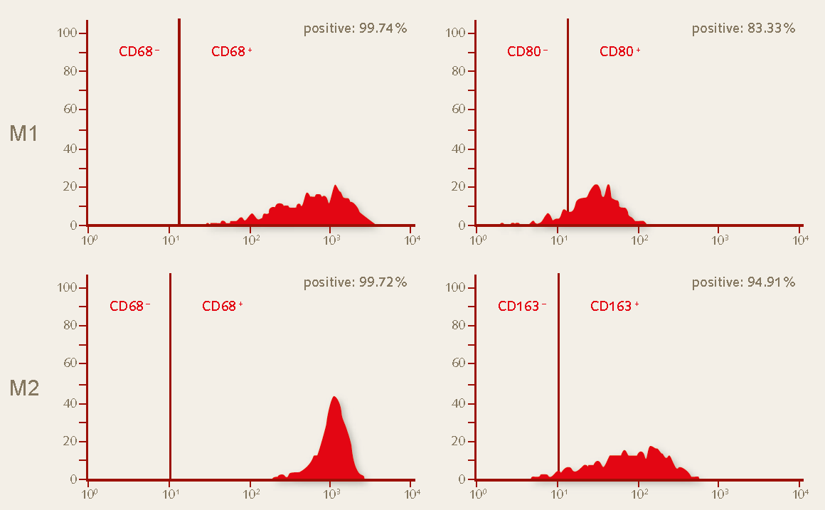 Flow cytometry analysis of day 10 PromoCell巨噬细胞生成培养基DXF培养第10天的M1和M2巨噬细胞的流式细胞分析。