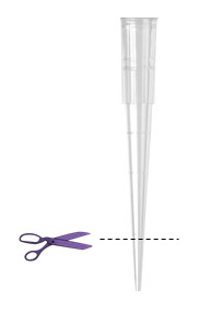 Two solvents (Dioxane, DMAc), strong base (NaOt-Bu) Step-by-Step Guide for Buchwald-Hartwig Amination Reaction Screening Kit An image showing a clear plastic pipette tip with a dashed line indicating where to cut. Next to the pipette tip, there are purple scissors, suggesting the action of cutting the tip.