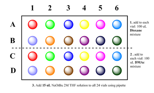 Two solvents (Dioxane, DMAc), strong base (NaOt-Bu) Step-by-Step Guide for Buchwald-Hartwig Amination Reaction Screening Kit A grid layout showing a 6x4 arrangement of colored circles representing vials labeled with letters A to D and numbers 1 to 6. Instructions indicate to add 100 µL of a dioxane mixture to each vial and then to add 100 µL of a DMAC mixture to each vial. Additionally, it instructs to add 15 µL of NaOtBu 2M THF solution to all 24 vials using a pipette. The vials are color-coded, with each row containing different colors.