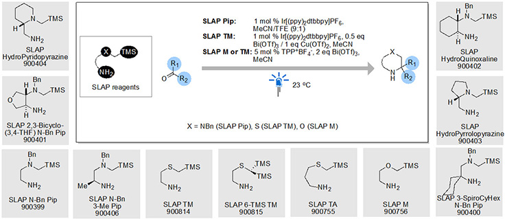 SiLicon Amine Protocol (SLAP) Reagents SiLicon Amine Protocol (SLAP) Reagents