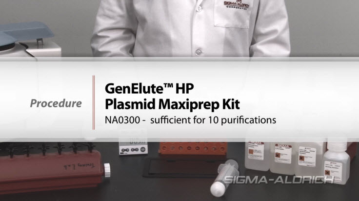 GenElute™ HP Plasmid Maxiprep Procedure GenElute™ HP Plasmid Maxiprep Procedure