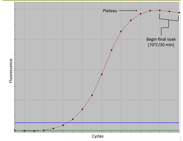 qPCR Slide qPCR Slide